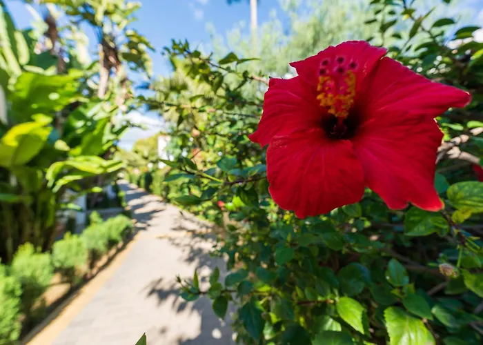 בית נופש Jardines De Burriana Deluxe By Casasol *